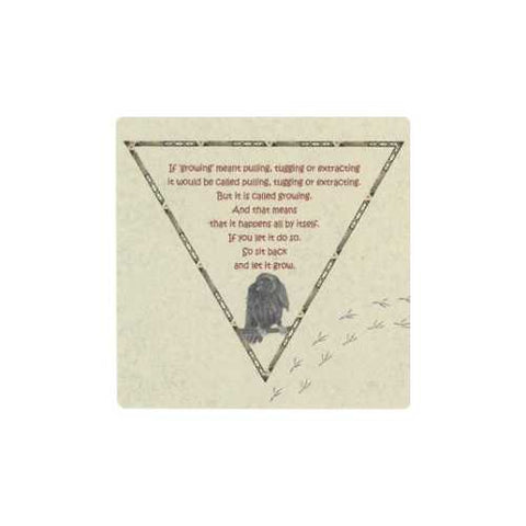 Raven Oracle Cards Deck Gabi Bucker Inspiration Blank Esoteric Agm NEW