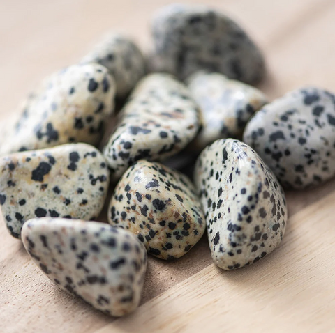 24 Large Tumble Stones - Dalmatian Jasper Gemstones Talisman Ancient Wisdom NEW