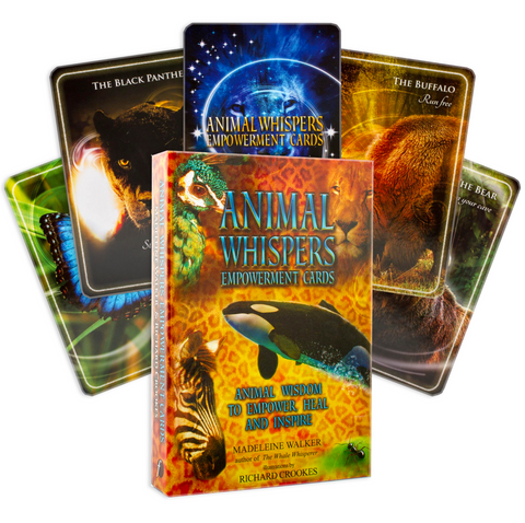 Animal Whispers Empowerment Cards Deck Esoteric Madeleine Walker Findhorn Fhp05