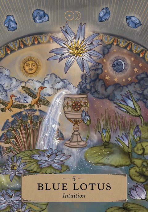 The Herbal Astrology Pocket Oracle Deck And Guidebook Hay House Hh162