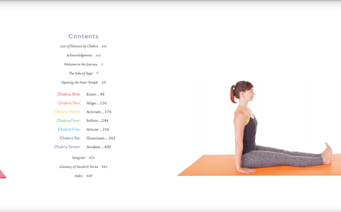 Chakra Yoga Anodea Judith Phd Awaken The Subtle Body Connect Book Llewellyn NEW