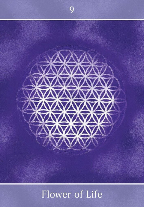 Beyond The Illusions Oracle Cards Deck Animal Dreaming By Timothy Nilsson NEW