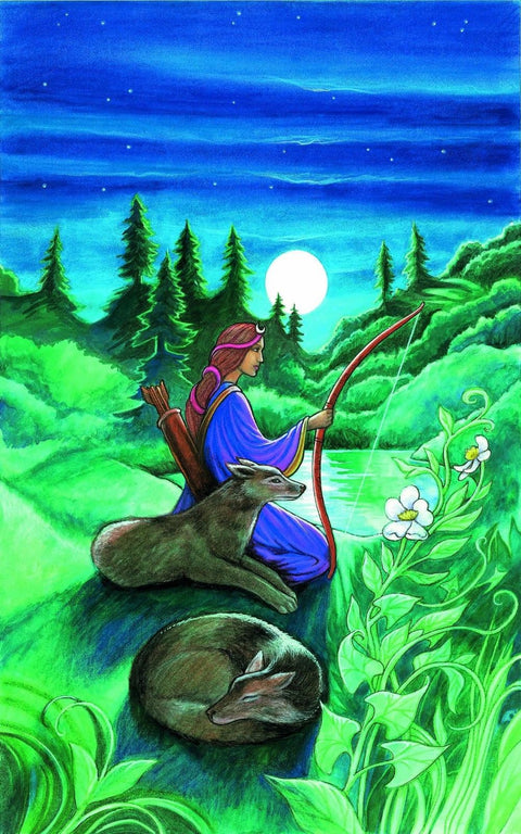 The Oracle Of The Goddess Set Book Deck Cards Esoteric Fortune Telling Agm NEW