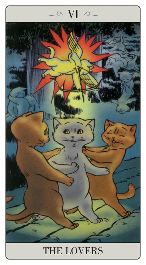 The Way Jodorowsky Explained Tarot To His Cat Deck Major Cards Lo Scarabeo NEW