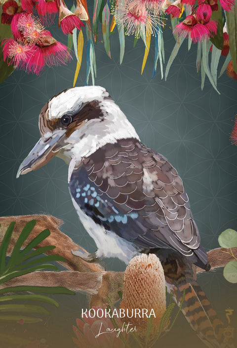 Wild Wisdom Australia Oracle Cards Deck Blue Angel K.Roberts - B.Hughes