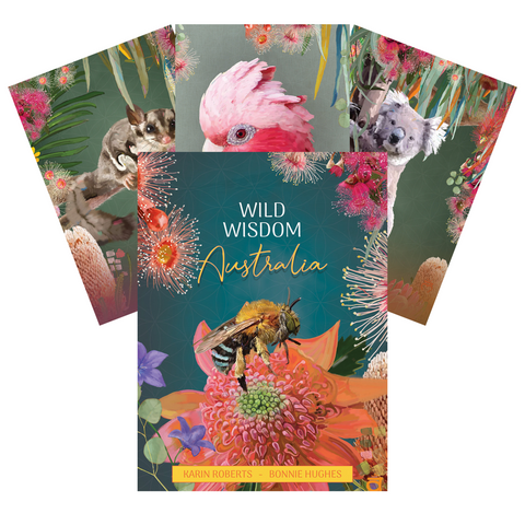 Wild Wisdom Australia Oracle Cards Deck Blue Angel K.Roberts - B.Hughes