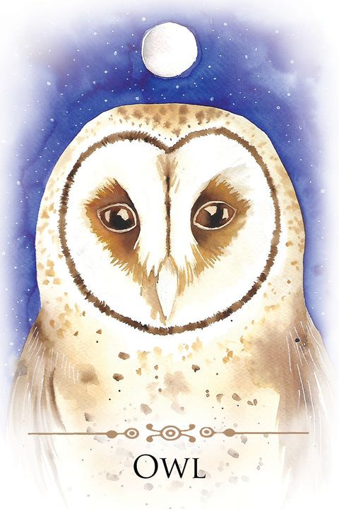 Spirit Animals Message Cards Deck Animal Dreaming Publishing Affirmations NEW