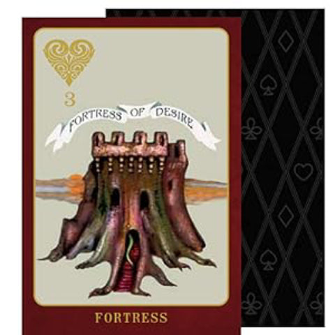 The Doors Of Somlipith A NEW Dimension Of Card Reading Schiffer Publishing NEW