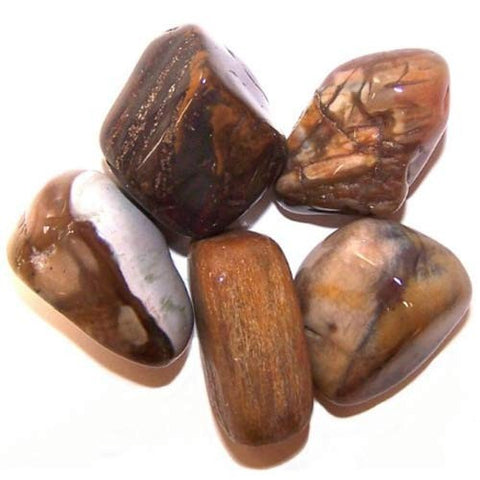 24 Large Tumble Stones - Petrified Wood Gemstones Talisman Ancient Wisdom NEW
