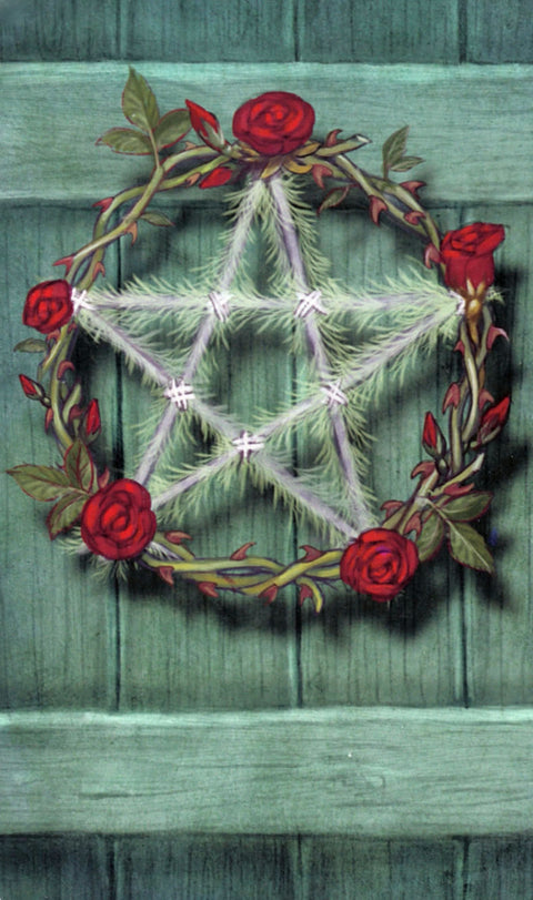The Green Witch Tarot Cards Deck Ann Moura Esoteric Llewellyn NEW