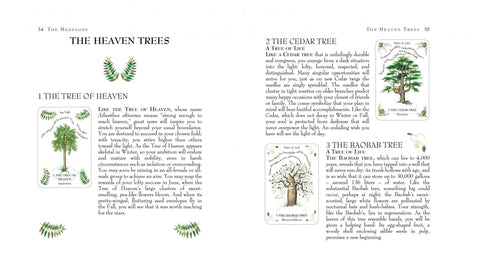 The Tree Magick Oracle Cards Deck & Illustrated Book Cico Books Gillian Kemp NEW