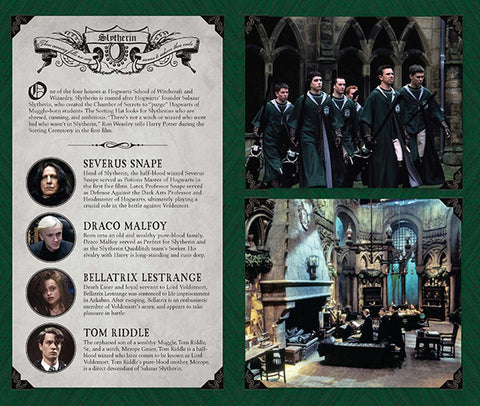Harry Potter Slytherin Hardcover Ruled Journal Insight Editions