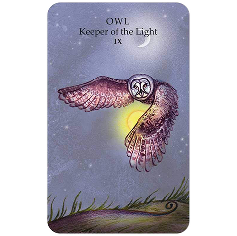 Spirit Animal Tarot Cards & Book Cico Books By Dawn Brunke & Ola Liola NEW