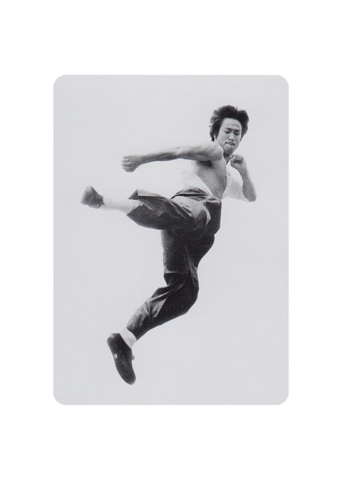 Bruce Lee Playing Cards Art Of Play Deck Magic Tricks Poker USa Martial Art NEW
