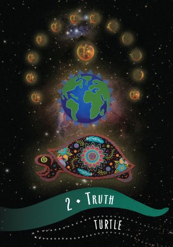 Wisdom Of The Elders Oracle Cards Deck And Guidebook By Shawn Leonard