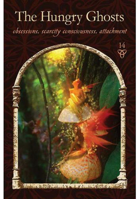 Wisdom Of The Hidden Realms Oracle Cards Deck And Guidebook Divine