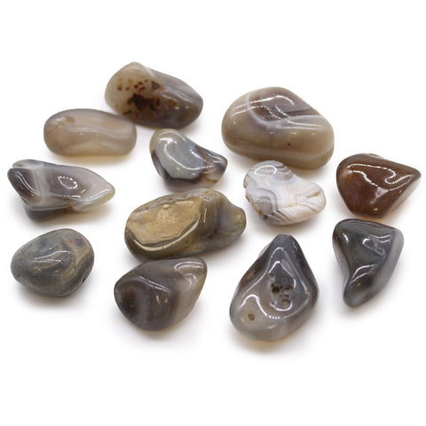 12 Medium African Tumble Stones Grey Agate Botswana Gemstones Ancient Wisdom NEW