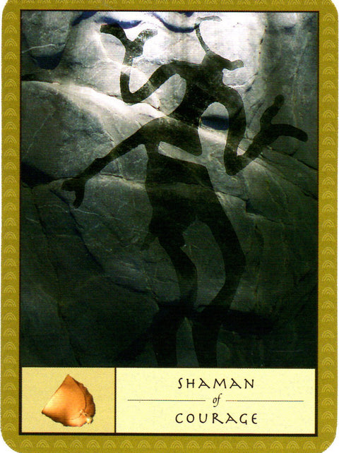 The Shaman’S Oracle Cards Deck Watkins Publishing Esoteric Ancient Wisdom NEW
