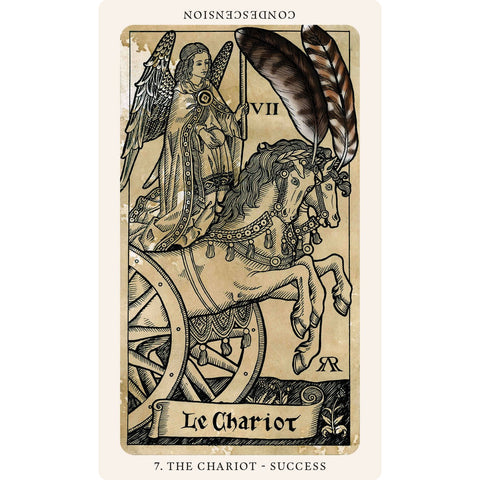 The Medieval Feathers Tarot Cards Deck Alejandro R. Rozan Blue Angel Tmft23