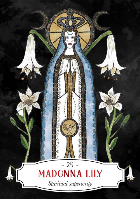Deadly Apothecary Oracle Card Deck Healing Rockpool By Priestess Moon Rp178