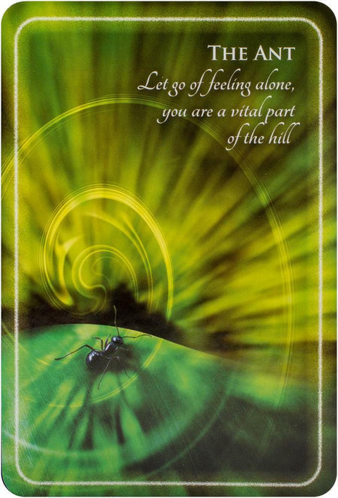 Animal Whispers Empowerment Cards Deck Esoteric Madeleine Walker Findhorn Fhp05