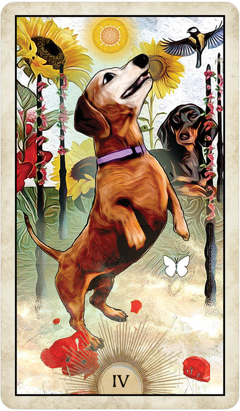 Wise Dog Tarot Cards Deck US Games Systems Mj Cullinane Esoteric 2020 NEW
