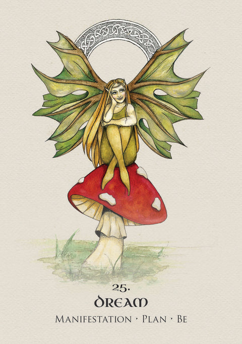 Celtic Spirit Oracle Cards Deck Rockpool Publishing By Nicola Mcintosh NEW