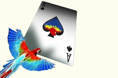 Infinity Playing Cards Deck Difatta D3Psy USpcc Magic Tricks Poker Parrot NEW
