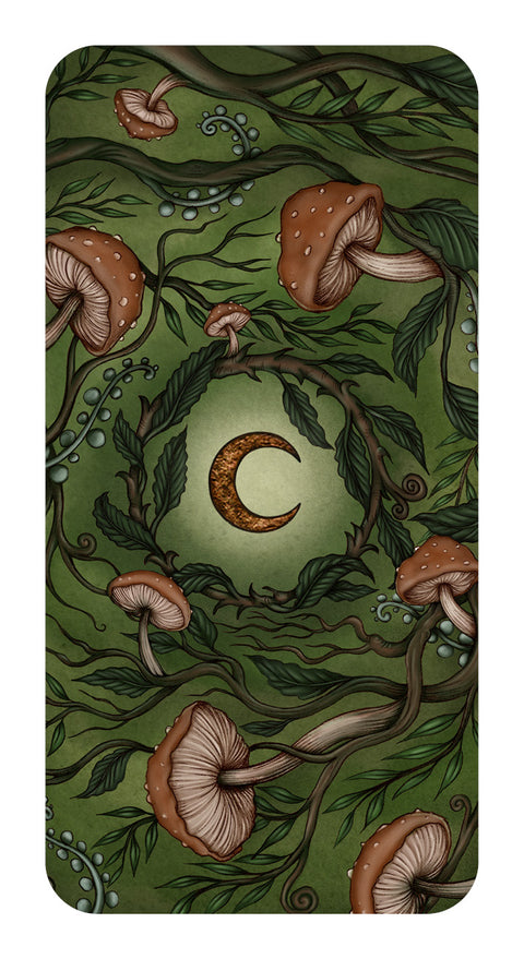 Forest Fae Cards Deck Enchantment Messages Nadia Turner Rockpool Publishing Rp82