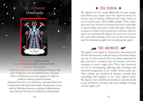 Deadly Apothecary Oracle Card Deck Healing Rockpool By Priestess Moon Rp178