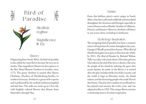The Flowerwise Oracle Cards Deck Schiffer Publishing