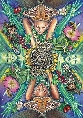 Everyday Enchantment Tarot Cards Deck Book Set Schiffer Publishing Palin NEW