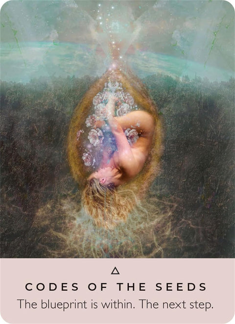 The Rose Pocket Oracle Cards By Hay House
