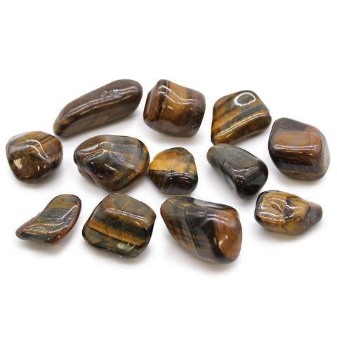 12 Medium African Tumble Stones Tigers Eye Variegated Gems Ancient Wisdom NEW