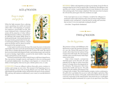 Steele Wizards Tarot Cards Deck Pamela Steeler Soul Schiffer Publishing Sp180