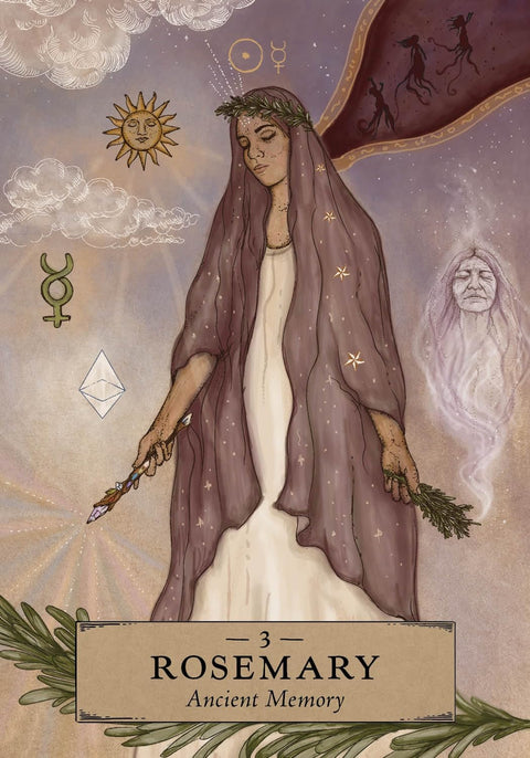 The Herbal Astrology Pocket Oracle Deck And Guidebook Hay House Hh162
