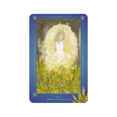 The Avalonian Oracle Cards Deck & Book Jhenah Telyndru Schiffer Publishing NEW