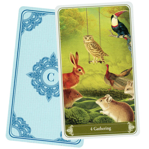 Christephania Kipper Oracle Deck Agm Urania 36 Cards And Booklet Esoteric NEW