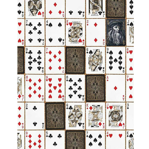Bicycle Aureo Black Playing Card Deck Magic Tricks Air Cushion Made In USA