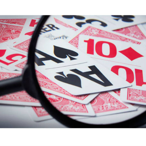 Bicycle Large Print Playing Cards – Blue Back