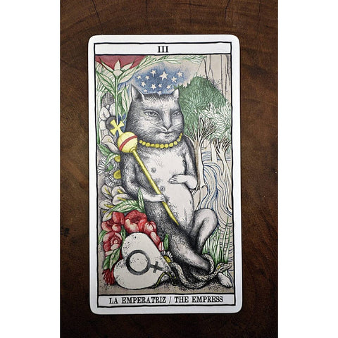 Tarot Cats Card Deck by Fournier – Cat Lovers Divination Fortune Telling