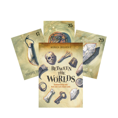 Between The Worlds Oracle Cards Schiffer Publishing Shadowcasting Bone Curio NEW