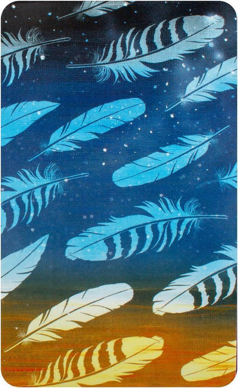 Bird Messages Cards Deck And Book Cico Books Esoteric Susie Green Fortune NEW