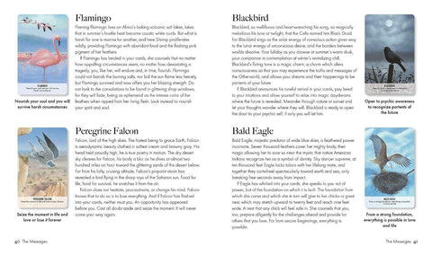 Bird Messages Cards Deck And Book Cico Books Esoteric Susie Green Fortune NEW