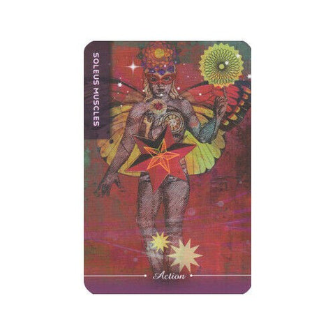 Body Cards Deck Book Set Esoteric Courtney Putnam Schiffer Publishing Sp065