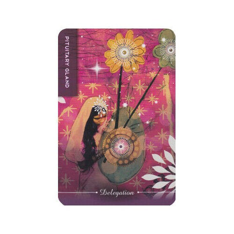 Body Cards Deck Book Set Esoteric Courtney Putnam Schiffer Publishing Sp065