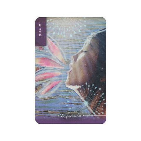Body Cards Deck Book Set Esoteric Courtney Putnam Schiffer Publishing Sp065