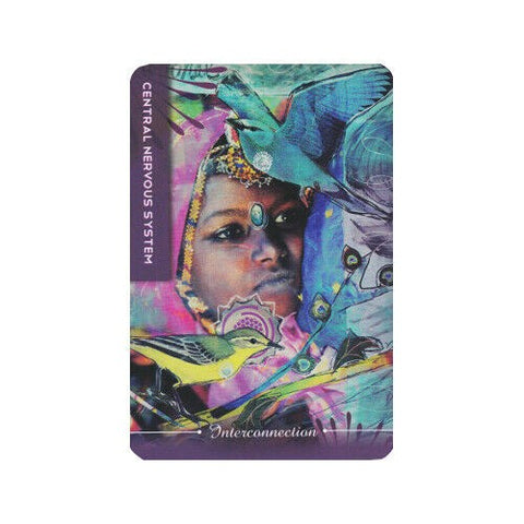Body Cards Deck Book Set Esoteric Courtney Putnam Schiffer Publishing Sp065