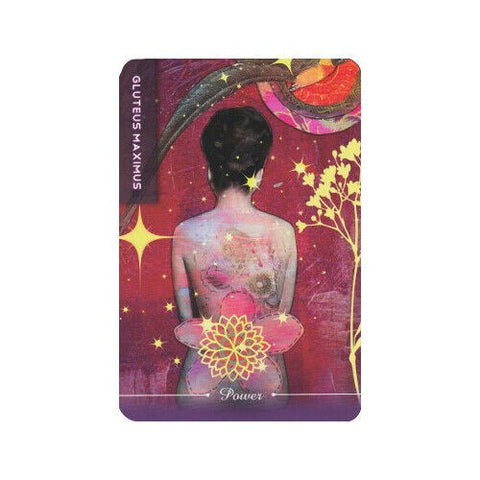 Body Cards Deck Book Set Esoteric Courtney Putnam Schiffer Publishing Sp065