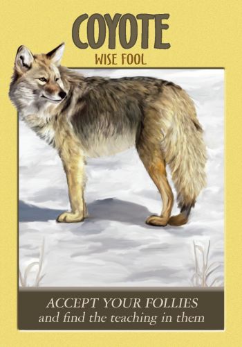 Power Animal Oracle Cards Deck And Guidebook Hay House By Steven D. Farmer NEW
